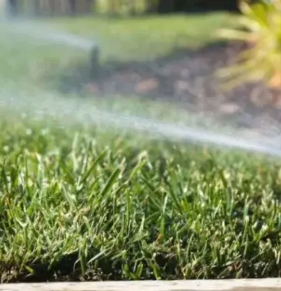 Sprinkler watering grass
