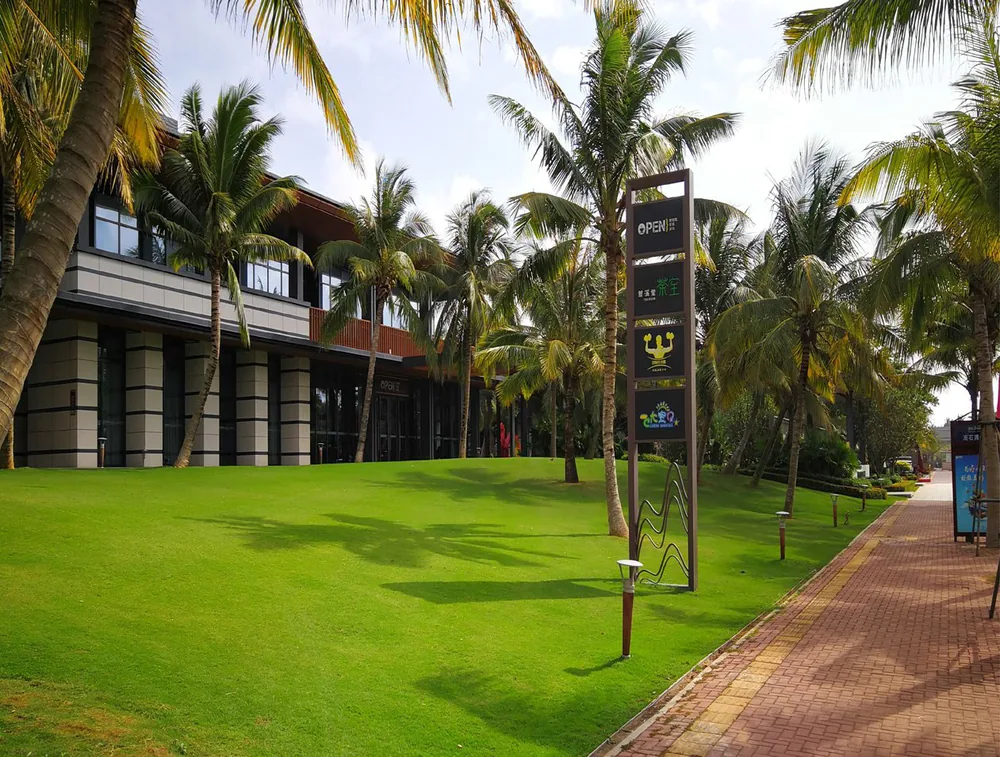 Haishitan No. 3 showroom landscaping with palms and lawn