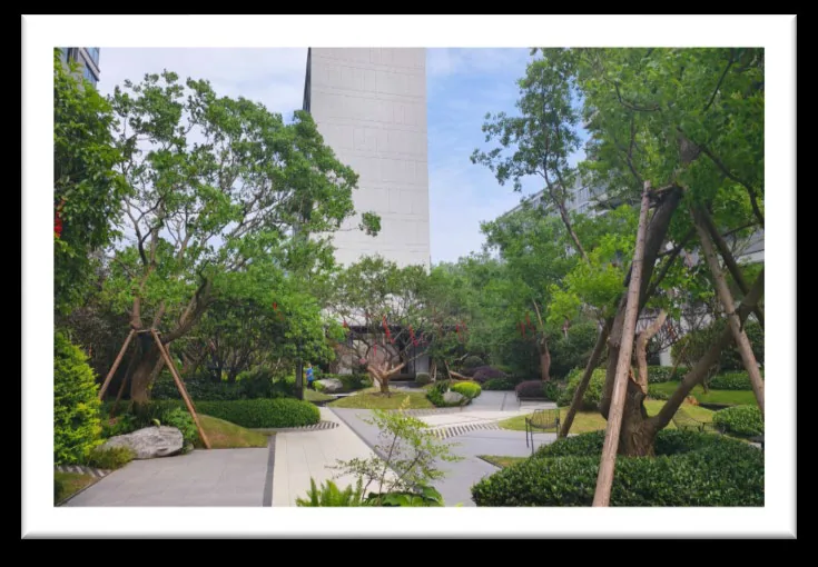 Garden path and planting