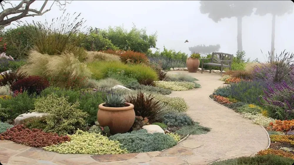 Water-wise garden landscape with gravel pathway and planting